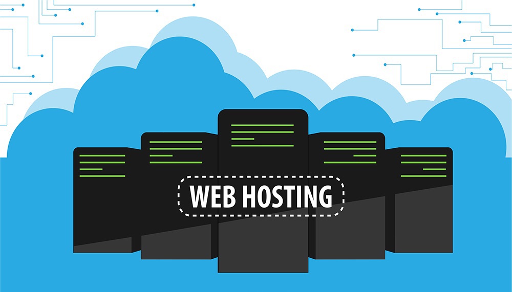 Hosting & Domain Paketleri